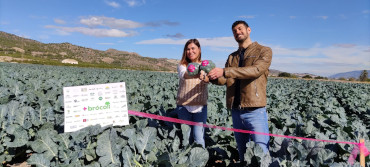 Revista Fruit Today tweet media