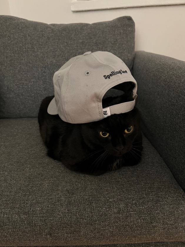 Sam Ezersky tweet media