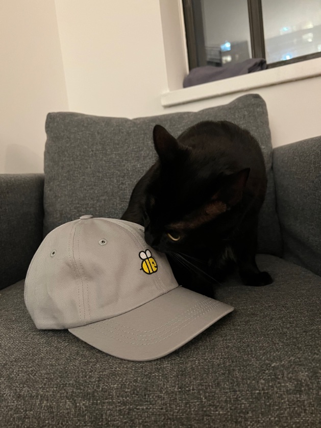 Sam Ezersky tweet media