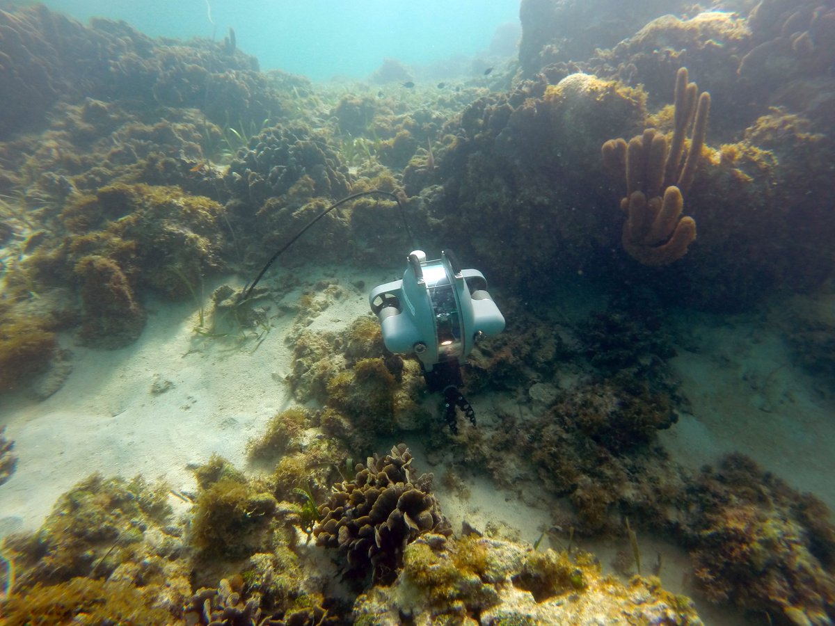 deeptrekker's tweet photo. We're thrilled to be attending @DEMA_Show next week! Visit our team at booth 1227 to see how you explore the underwater world with ROVs.
Learn more about our latest ROV: https://t.co/gzvsIrUJkx
#DEMA #DEMAshow #DEMA2021 #DEMAshow2021 #underwater #scuba #diving https://t.co/FcA0zL1g5S