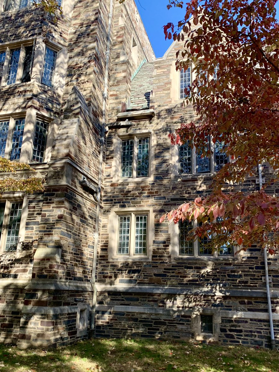 Amar D. Peterman tweet media