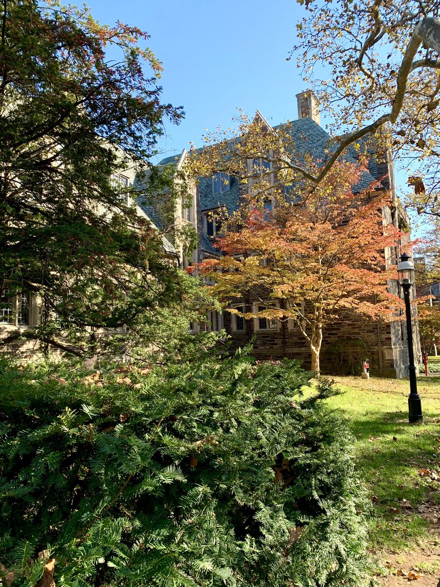 Amar D. Peterman tweet media