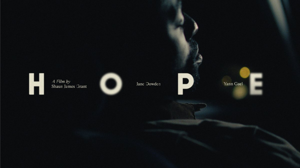 Sean Rees tweet media