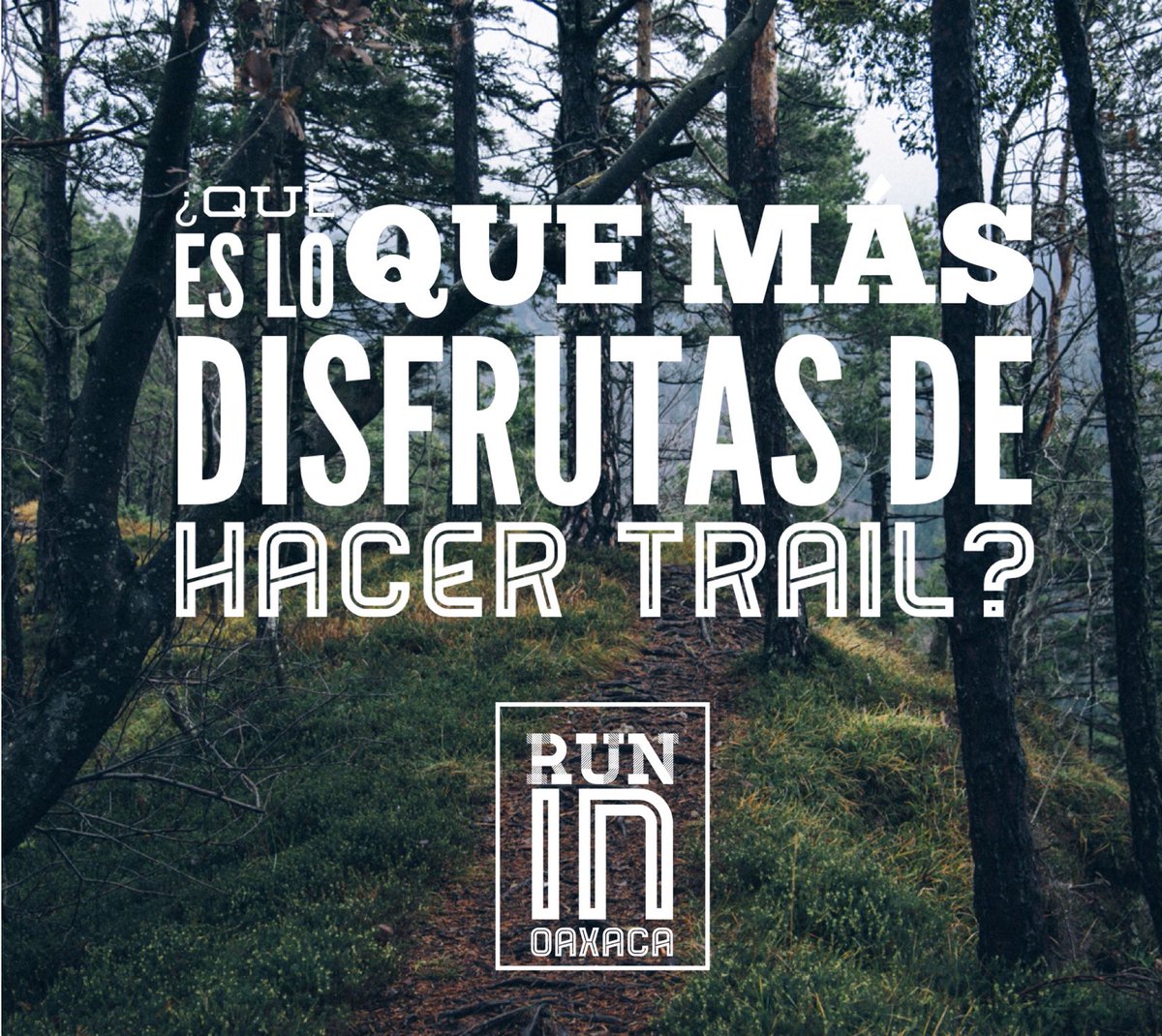 RunInOaxaca's tweet photo. ¡Hay momentos que se disfrutan al máximo!
¿Cuál es el tuyo?  #running #runningmotivation #runninglife #runinoaxaca #RunInOaxaca #runintrail #trailrunning https://t.co/TPQSPc9viO