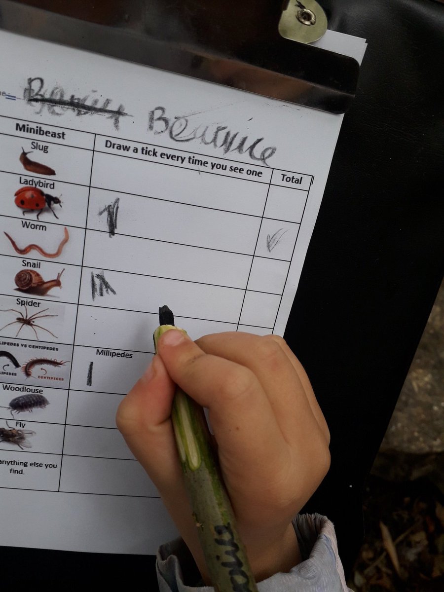 @Arunside primary. Wonderful to see people we train facilitate such a thoughtful and playful session. Building a deep connection with nature and improving the site for wildlife. #forestschool training observation @SussexWildlife. And yes, elder pencil recording biodiversity