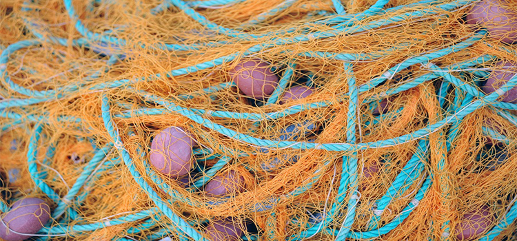 madrimasd's tweet image. 🔬Un equipo de investigación, integrado por miembros del @Lab_LATEP y el @GIQA_urjc ), ha estudiado posibles usos para los residuos obtenidos a partir de redes de pesca de polietileno de alta densidad @URJC

#Notiweb
👉madrimasd.org/notiweb/notici…