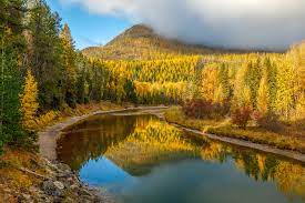 DMCtourguideguy's tweet photo. The world is home to some of the most breathtaking forests that we'd love to take you to. Luckily those forests produce oxygen to help you get your breath back. That is why it is so important to do your part in taking care of them!
#Environmental #BetterEarth #TeamTrees https://t.co/jfaO53AnmH