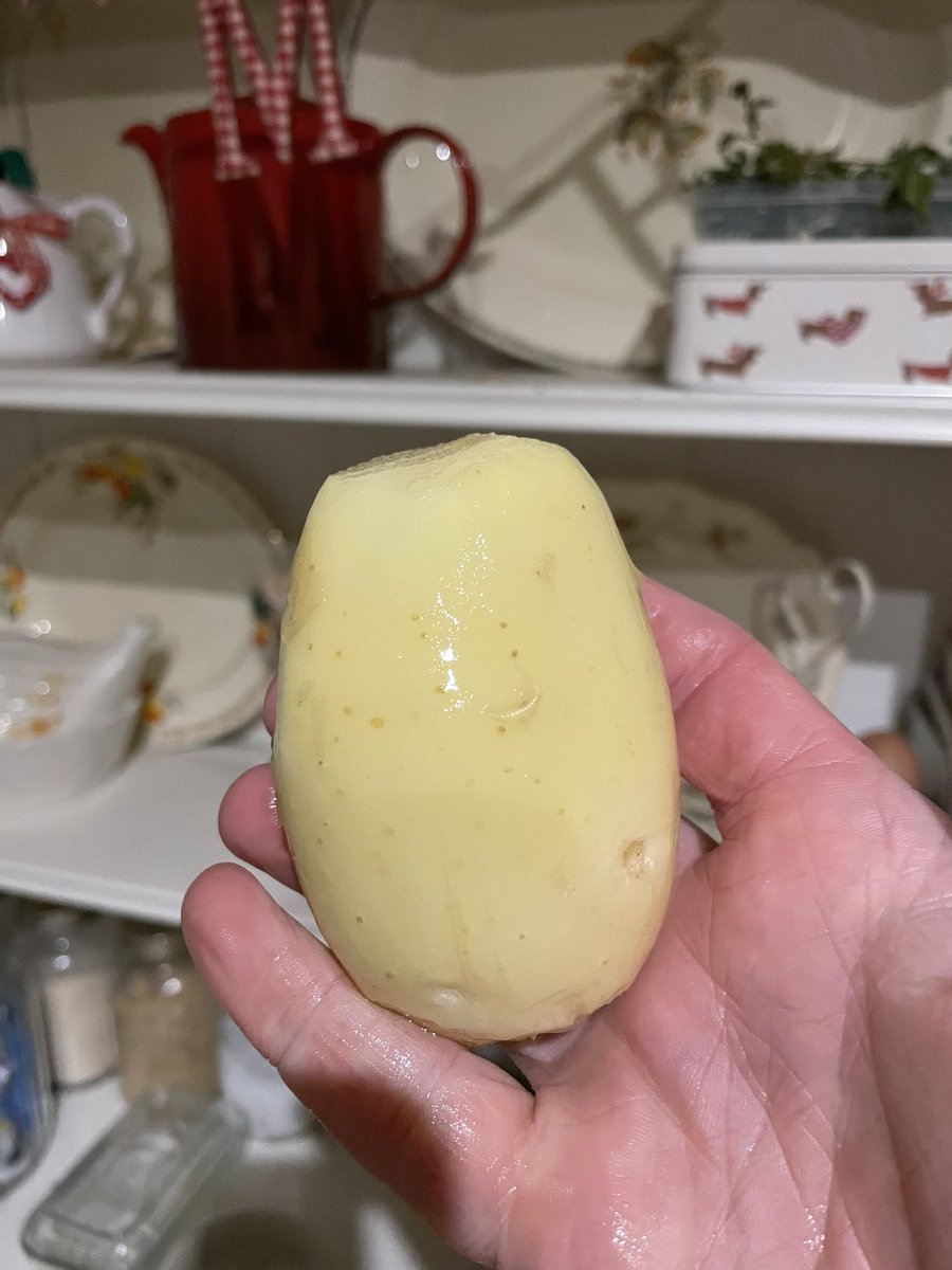 pvt_ak's tweet photo. Is it just me as a new grower that peels a homegrown potato, marvels at its beauty and smiles smugly thinking โI did thatโ ๐ #allotment #growyourown https://t.co/HCS53xmMYr