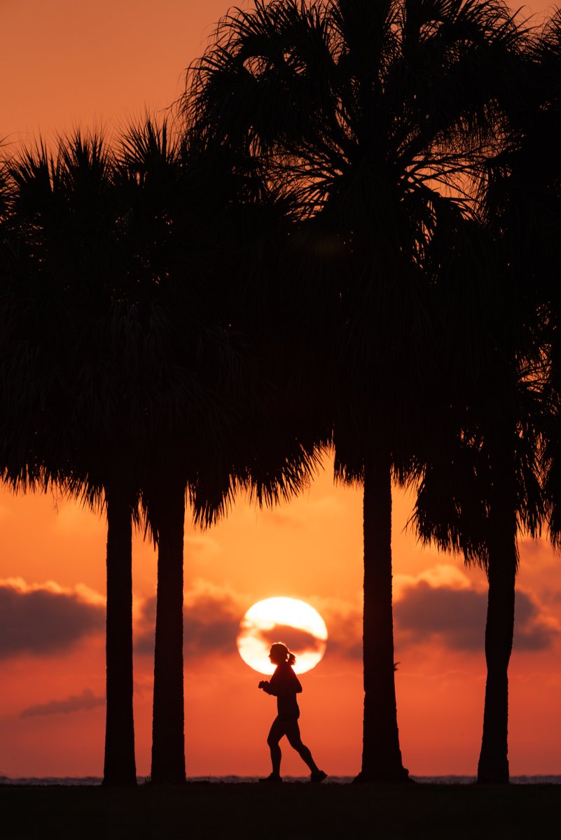 The @StPeteRunFest is fast approaching Nov 12-14! This 3-day festival includes distance running events, live music, craft beer from <a href="/GreenBenchBrew/">Green Bench</a>, hard seltzer from <a href="/3DBrewing/">3 Daughters Brewing</a>, Mermosa wines, <a href="/Outback/">Outback Steakhouse</a> and healthy organics from @RollinOatsStp!

More info: stpeterunfest.org