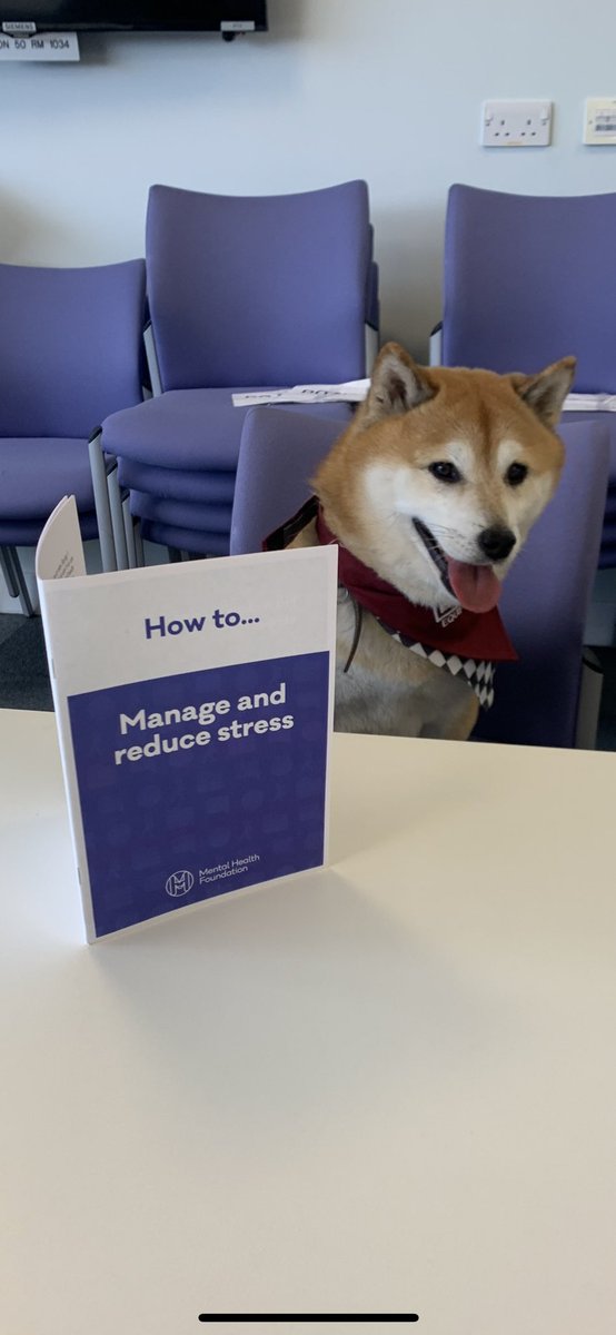 Almolka's tweet photo. The Well-being dogs next visit will be on the 26th November. We will be at Marsh Lane police  in the morning and Smithdown Lane in the afternoon x  @MerseyPolice @MerPolCC @Gavlar7007 @BriggsUK https://t.co/d658jEbfUf