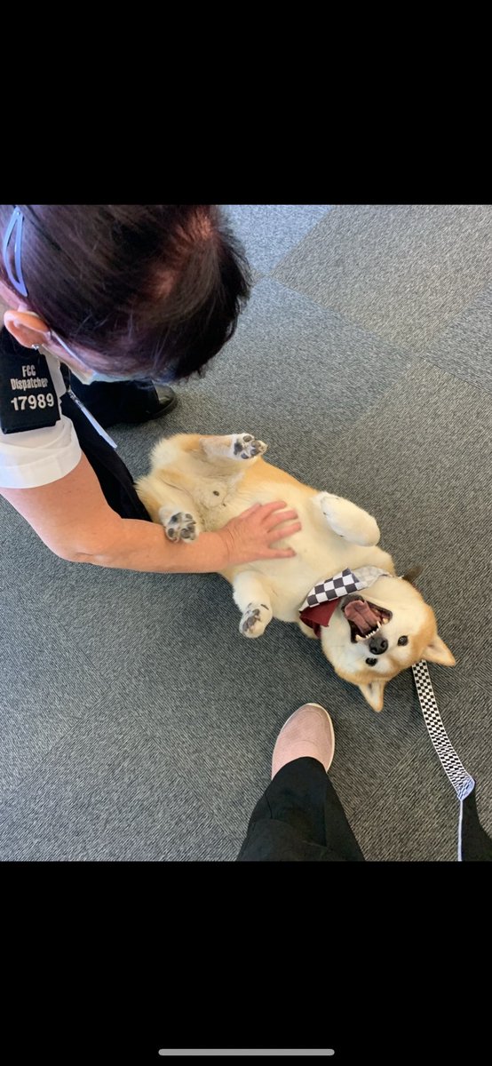 Almolka's tweet photo. The Well-being dogs next visit will be on the 26th November. We will be at Marsh Lane police  in the morning and Smithdown Lane in the afternoon x  @MerseyPolice @MerPolCC @Gavlar7007 @BriggsUK https://t.co/d658jEbfUf