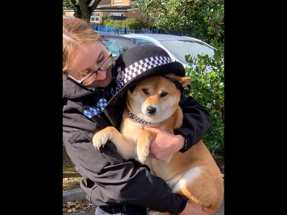 Almolka's tweet photo. The Well-being dogs next visit will be on the 26th November. We will be at Marsh Lane police  in the morning and Smithdown Lane in the afternoon x  @MerseyPolice @MerPolCC @Gavlar7007 @BriggsUK https://t.co/d658jEbfUf