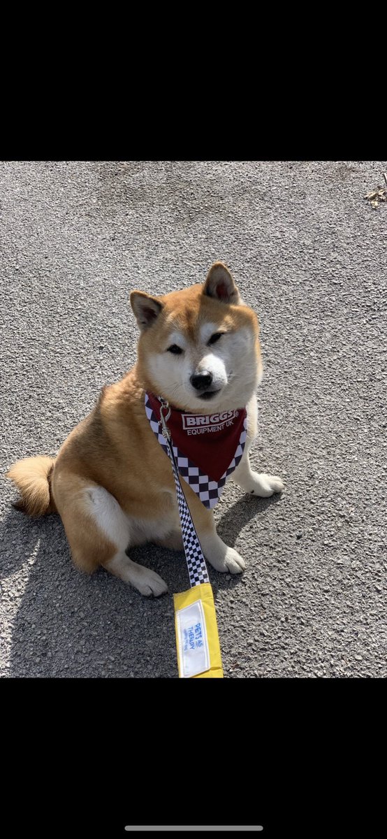 Almolka's tweet photo. The Well-being dogs next visit will be on the 26th November. We will be at Marsh Lane police  in the morning and Smithdown Lane in the afternoon x  @MerseyPolice @MerPolCC @Gavlar7007 @BriggsUK https://t.co/d658jEbfUf