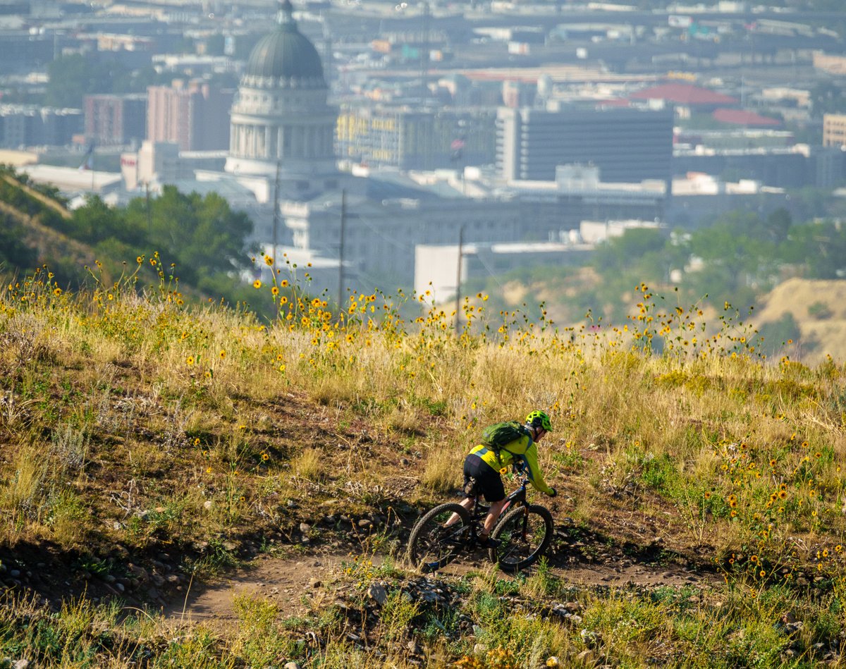 For the first time in years, <a href="/sltrib/">The Salt Lake Tribune</a> is growing. I’m going to tell you why and what it means for Utah readers.

THREAD (with photos from our team bc then maybe you’ll get to the end)

sltrib.com/news/business/…