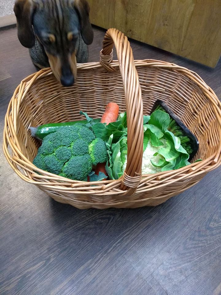 choicebaskets's tweet photo. Have you been keeping an eye on #cop26?
What can we do to help!
Buy an eco friendly shopping basket! As well as shopping local and using a basket that will last for years to come, these baskets also make a fab present 🎄
https://t.co/WEdIVAlEz1 https://t.co/iwzPQ2dbdu