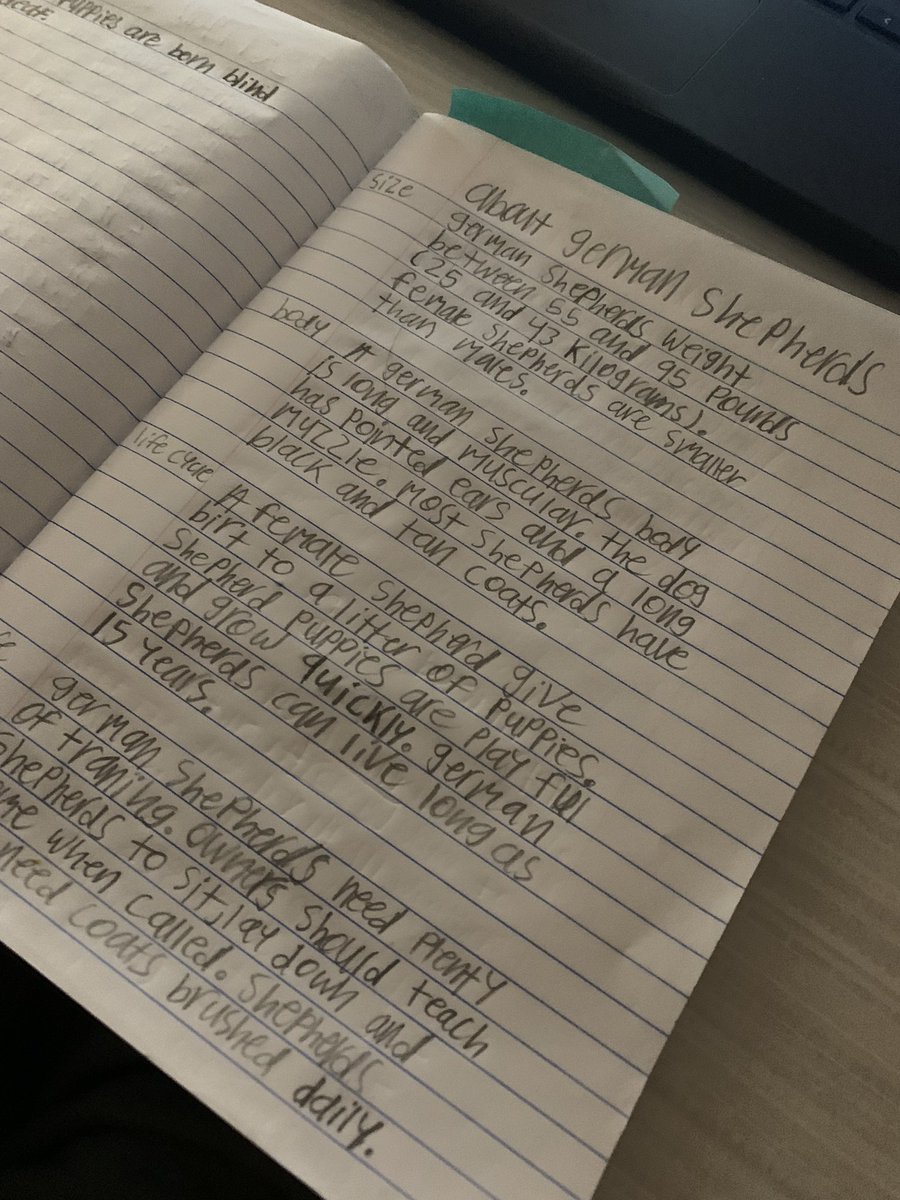 MrsDavis tweet media