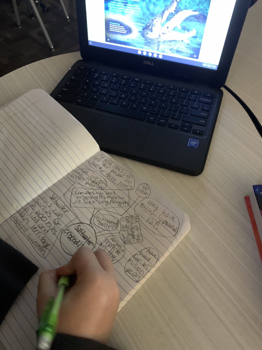 MrsDavis tweet media