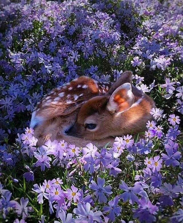 MagicMundi's tweet photo. 💙💙 https://t.co/5YzgH9yuFN