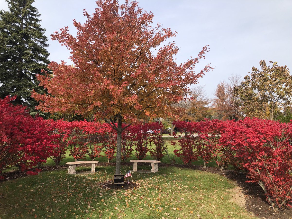 Just visited the 9/11 Memorial at Friendship Park in Des Plaines, IL. Check out the Chicago fall colors ⁦@TammyLHServedio⁩ ⁦@mcgrath_jonna⁩ ⁦@BehennaLinda⁩ ⁦@anthonychin888⁩ ⁦@rob_flyin⁩ #beingunited