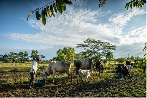 World Economic Forum tweet media