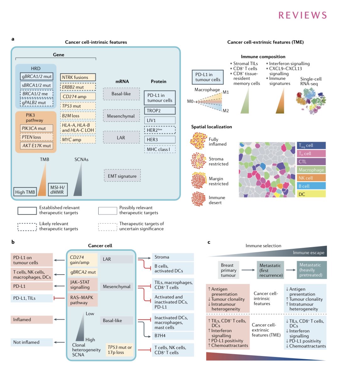 CarmineDeA1's tweet photo. 🧬Check out our latest review ‘Treatment landscape of triple-negative breast cancer — expanded options, evolving needs’ just out in @NatRevClinOnc, @SpringerNature. Thanks to @BianchiniGP, Luca Licata, and Luca Gianni. 👉🏻https://t.co/yVyKSfPTRj
#bcsm #TNBC https://t.co/8TAiRVNDvd