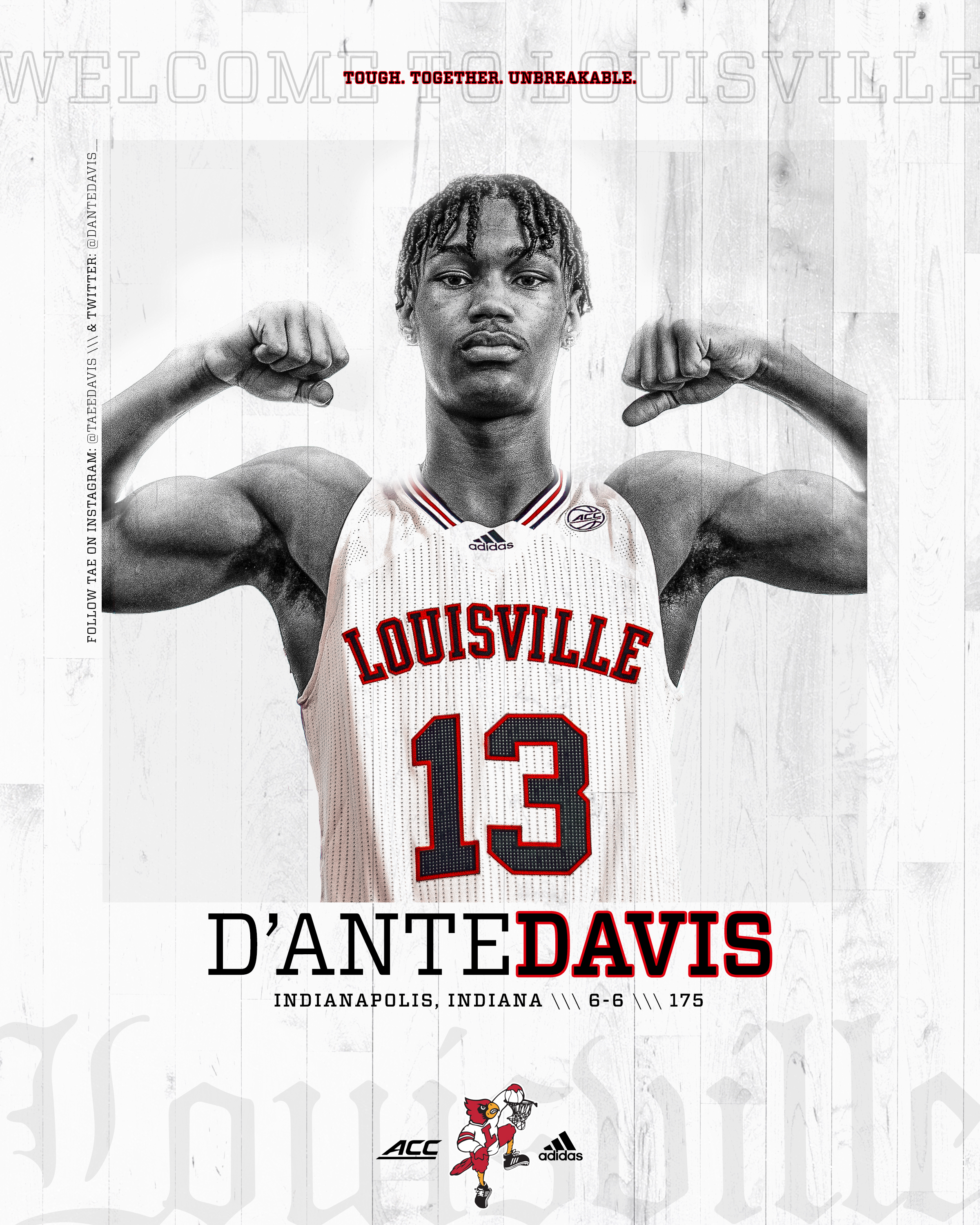 Louisville Cardinal Poster