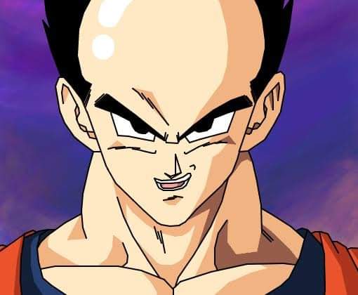 Dragon Ball só tem personagem careca (É muito calvo no anime) 