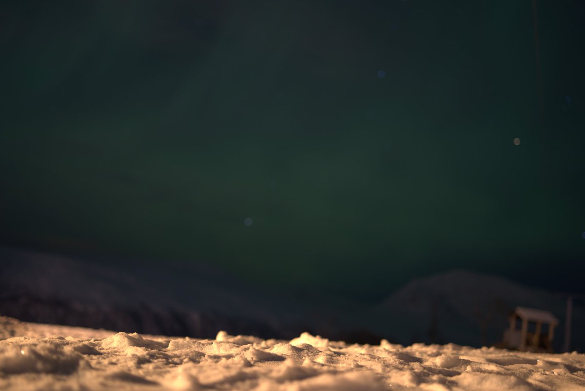 gumbraise's tweet photo. #RoadTripEurope🌍 
📍 Tromso

Sous ce tweet se trouve plusieurs images découpées en plusieurs catégories parce qu'à Tromso est la meilleure ville sur j'ai jamais visité

LEZZGO BBY https://t.co/KetUQrTXB9