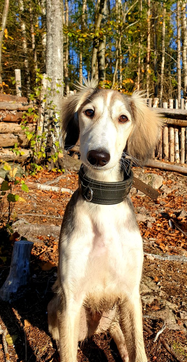 WTirith's tweet image. 