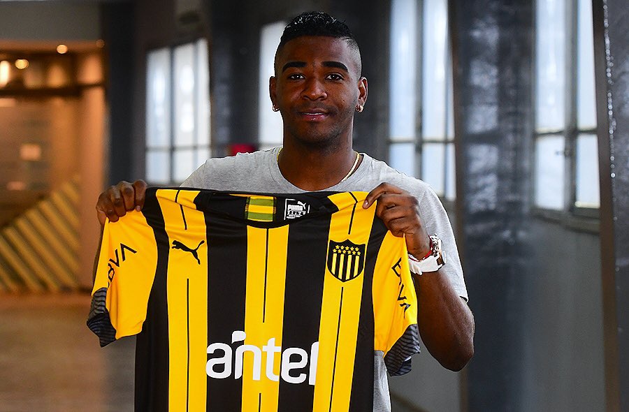 El País de Peñarol tweet media