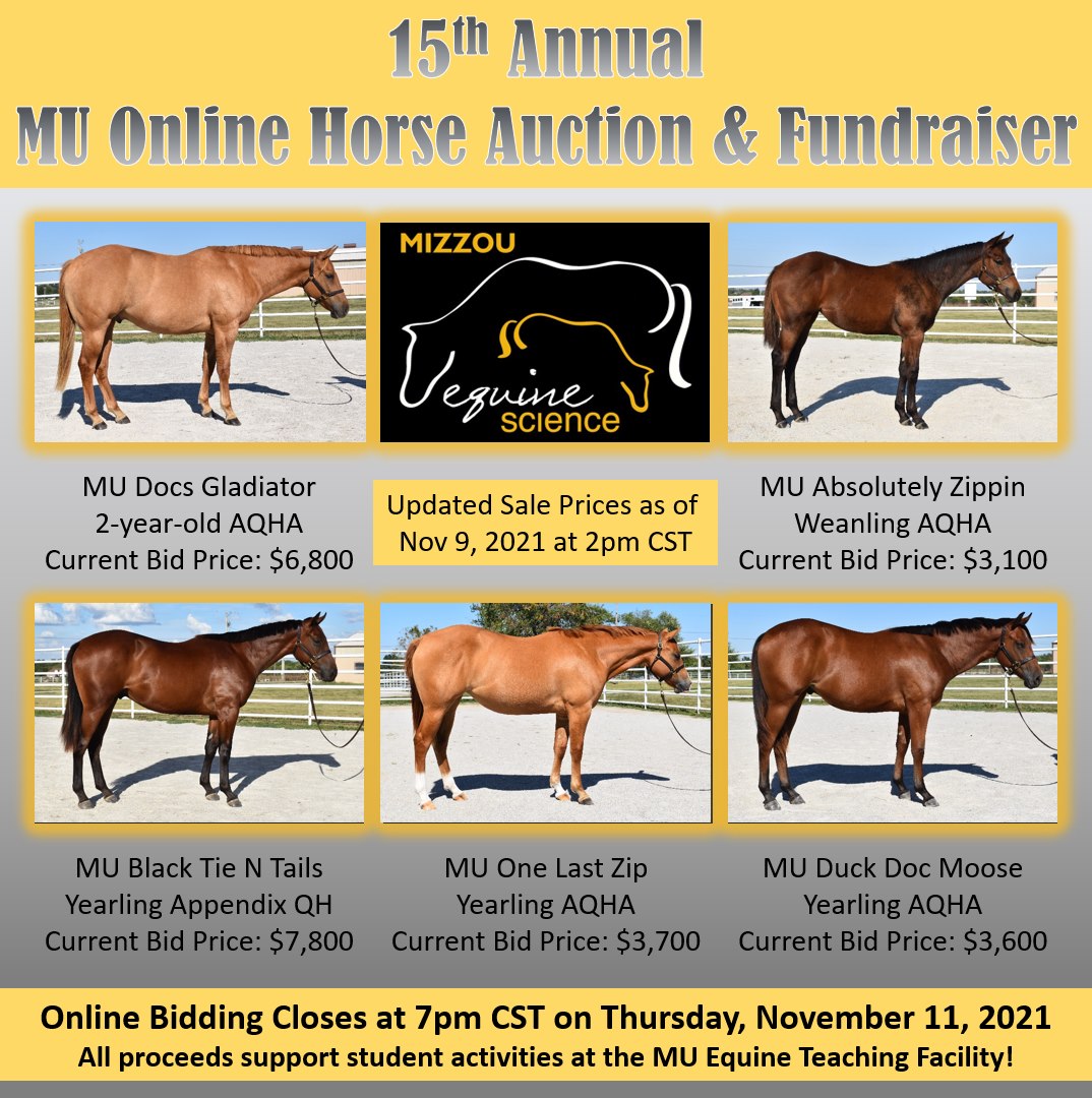 cafnr's tweet photo. Reminder: the annual online horse auction and fundraiser from MU Equine and @MUAnimalScience closes tomorrow, Nov. 11 at 7 p.m. (CST)! https://t.co/mAud946xuv https://t.co/aGB2bYY6gk