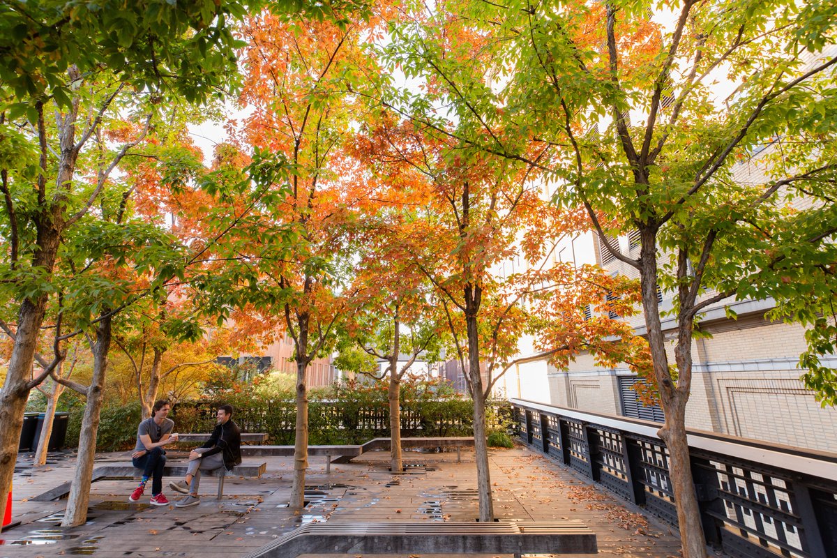 The 10th Avenue Square between 16th and 17th streets is the perfect spot to catch up with friends while enjoying views of the city.

#FallforNYC

📷: <a href="/lizligon/">Liz Ligon</a>