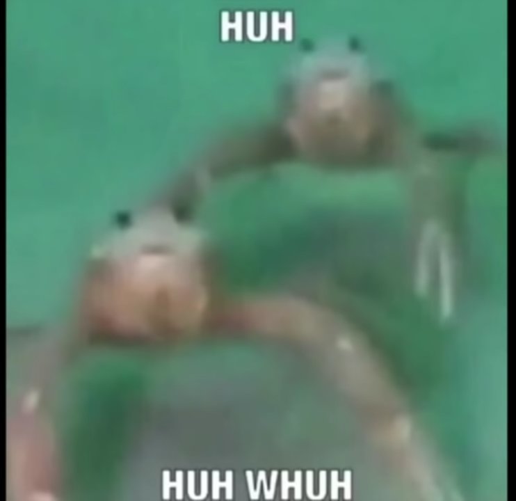 Me for the fifth fucking time after someone says something clearly