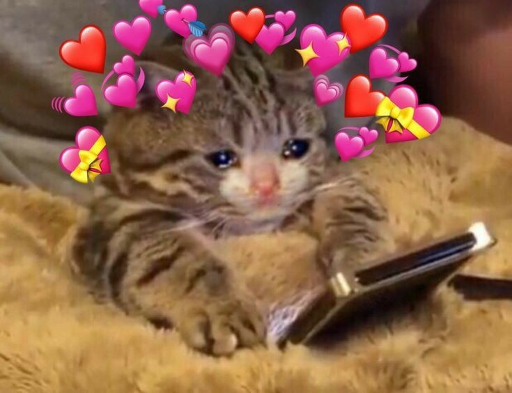 dutyjji's tweet photo. @I7like7sleeping ЫКПИДШЕМБЖШЕ БЛИН СПАСИБО  И ТЫ СУПЕР ПРЕЛЕСТЬ 😭😭😭😭😭🥺🥺🥺 https://t.co/wTEbpXd5fH