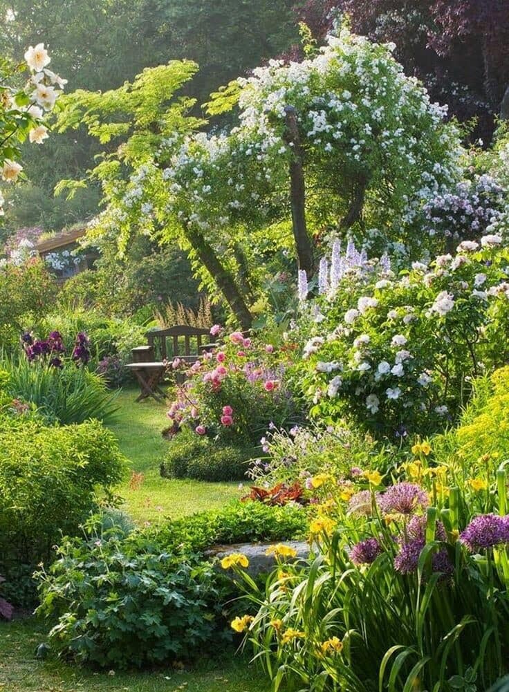 in my dreams i live there