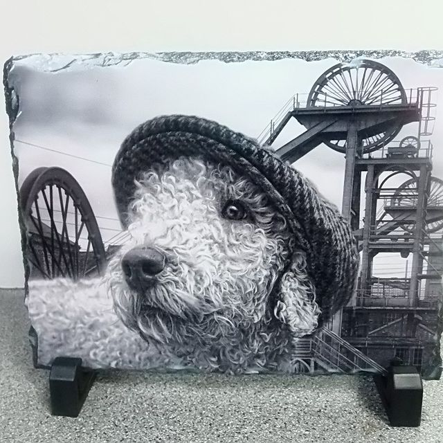 AES (@aesembroidery) on Twitter photo 