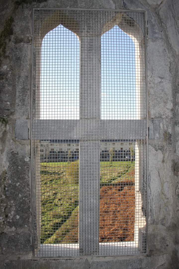 FriendsMerlinWD's tweet photo. Thanks to Dr Jim Higgins for showing us the work completed on phase 1 of #MerlinCastle #Merlinwoods #Galway a selection of photos here . We need a roof now so all this work can be protected .we call on all cllrs to help   fund it . A treasure for Galway https://t.co/LIg3OjoFS8