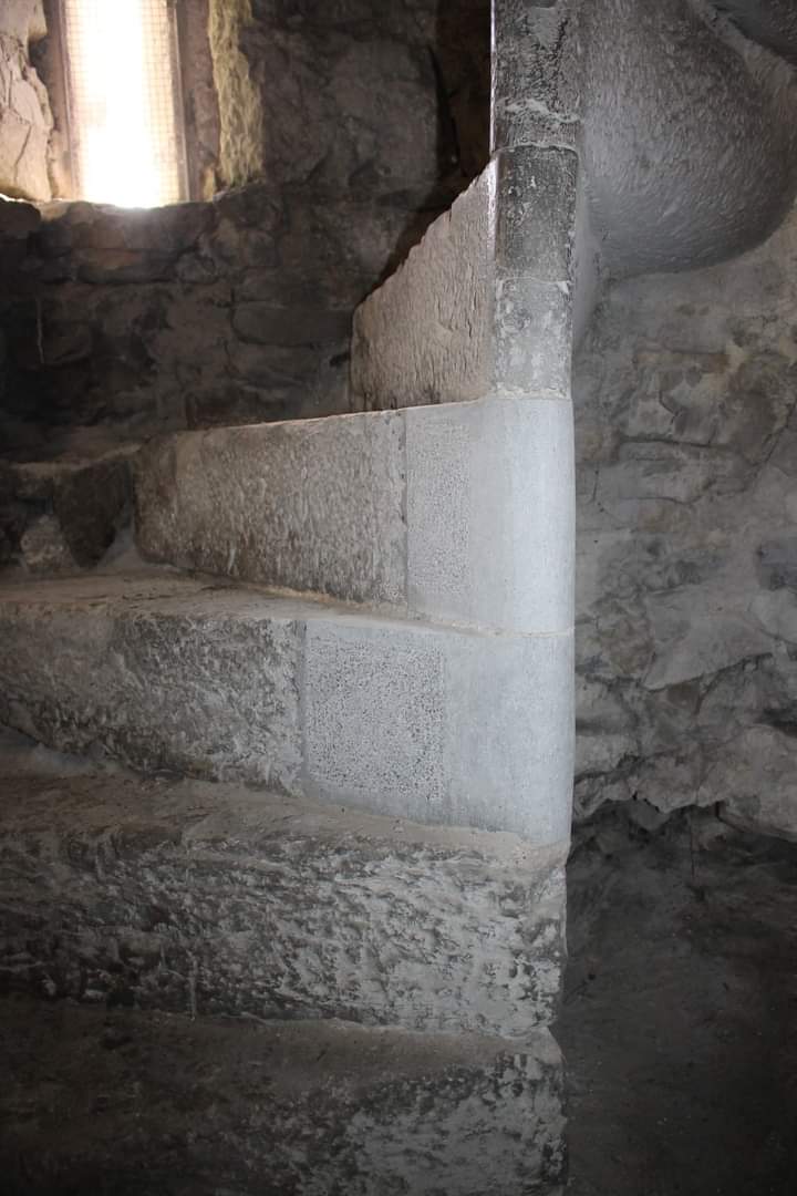 FriendsMerlinWD's tweet photo. Thanks to Dr Jim Higgins for showing us the work completed on phase 1 of #MerlinCastle #Merlinwoods #Galway a selection of photos here . We need a roof now so all this work can be protected .we call on all cllrs to help   fund it . A treasure for Galway https://t.co/LIg3OjoFS8