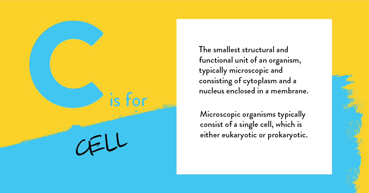 genetix_biotx's tweet photo. #ABCsOfGenetics — Cells are the basic building blocks of living things. They are enclosed by a wall or membrane and have internal structures that perform a variety of functions to help them, and/or the organism they are part of, survive.
Learn more: https://t.co/swP0JBS9sZ https://t.co/THi6udobXI