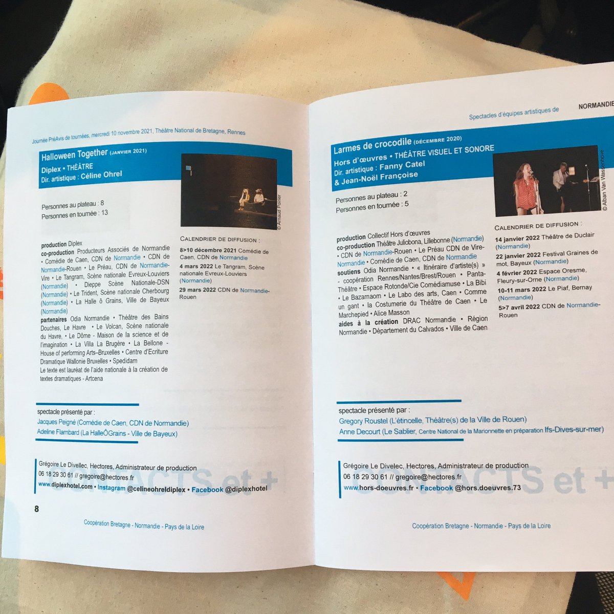 SVBretagne's tweet image. 4 de Normandie présentés par des resp. de programmation : Halloween Together/Diplex #théâtre • ~[Presque égal à]/Cie du 4 septembre #théâtre • Les galets au Tilleul sont plus petits qu’au Havre…/pjpp #danse • Larmes de crocodile/Hors d’œuvres #théâtre…