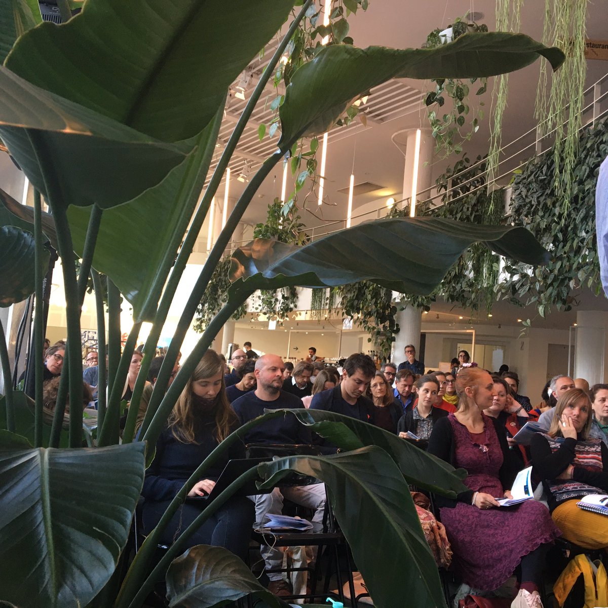 SVBretagne's tweet image. 12 spectacles éligibles au dispositif #avisdetournée : 4 de Bretagne présentés par des resp. de programmation.