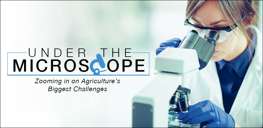 USagricultureUK's tweet photo. Have you ever wondered what foods could grow well in space? A @NASA plant physiologist answers that question and more! 👇 https://t.co/AHHJuwhvCS @USDA_ARS @NASAKennedy #AgInSpace https://t.co/VwnmDLaky1