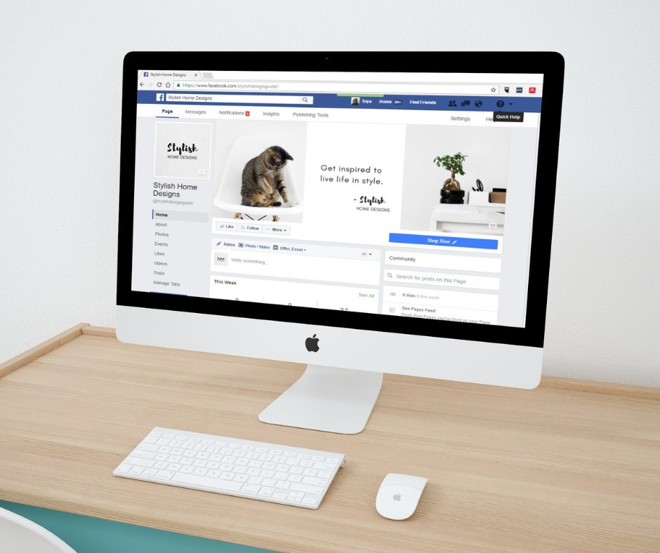 BitcoinADPRUK's tweet photo. Facebook Management Price Starting from £295pm!
 
Check out our packages here ➡️ https://t.co/6XvCVinpdD

#SocialMedia #SocialMediaManagement #SocialMediaMarketing #FacebookManagement #FacebookMarketing #ATSocialMedia 👍 https://t.co/Vdm3HiH8XY