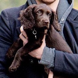 bobbyhiddles's tweet image. 