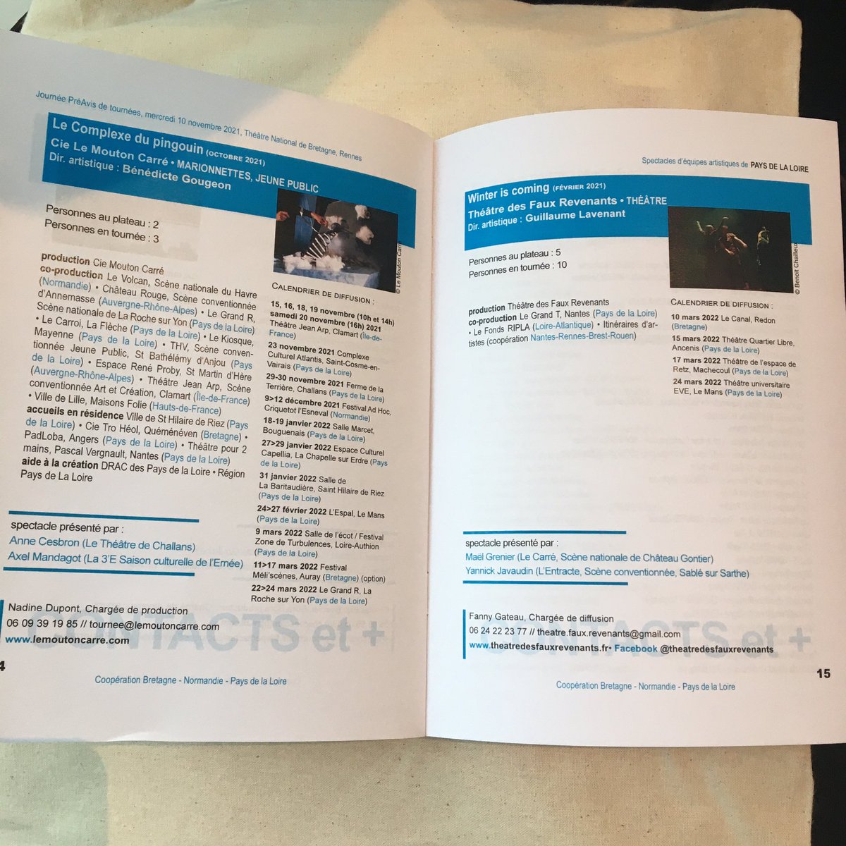 SVBretagne's tweet image. 4 de Pays de la Loire présentés par des resp. de programmation : ABDOMEN/Cie La Grive #danse • Cactus/La Réciproque #théâtre • Le Complexe du pingouin/Cie Le Mouton Carré #marionnettes • Winter is coming/Théâtre des Faux Revenants #théâtre