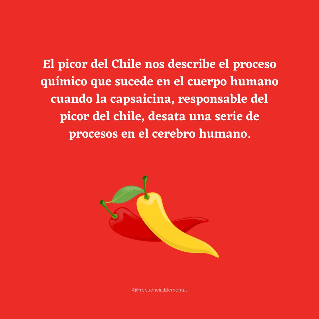 Si algunas vez te has preguntado ¿por qué los chiles pican tanto pero saben muy ricos acompañados con la comida? Te platicamos sobre este dato curioso en nuestro podcast.

#FrecuencialElemental #ElCambioSomosTodos #Podcast

Spotify Frecuencia Elemental: buff.ly/3wCixYi