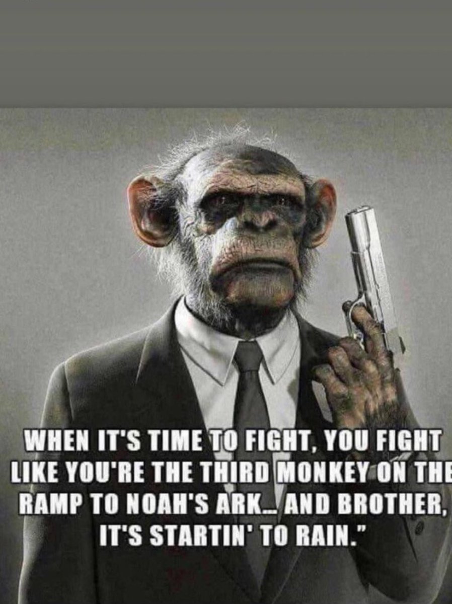 Peter/Repete tweet media