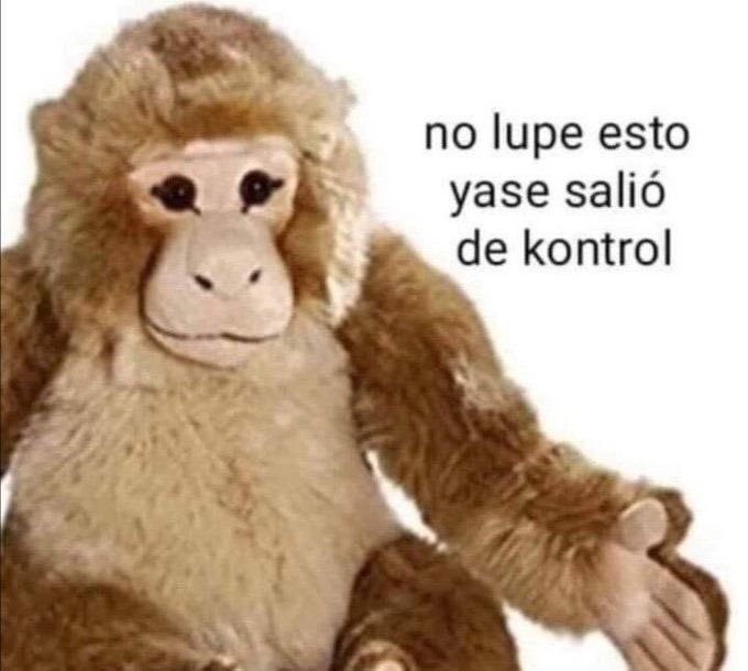 Yo dándome cuenta que no sé si estudiar medicina, producción musical o derecho 😞