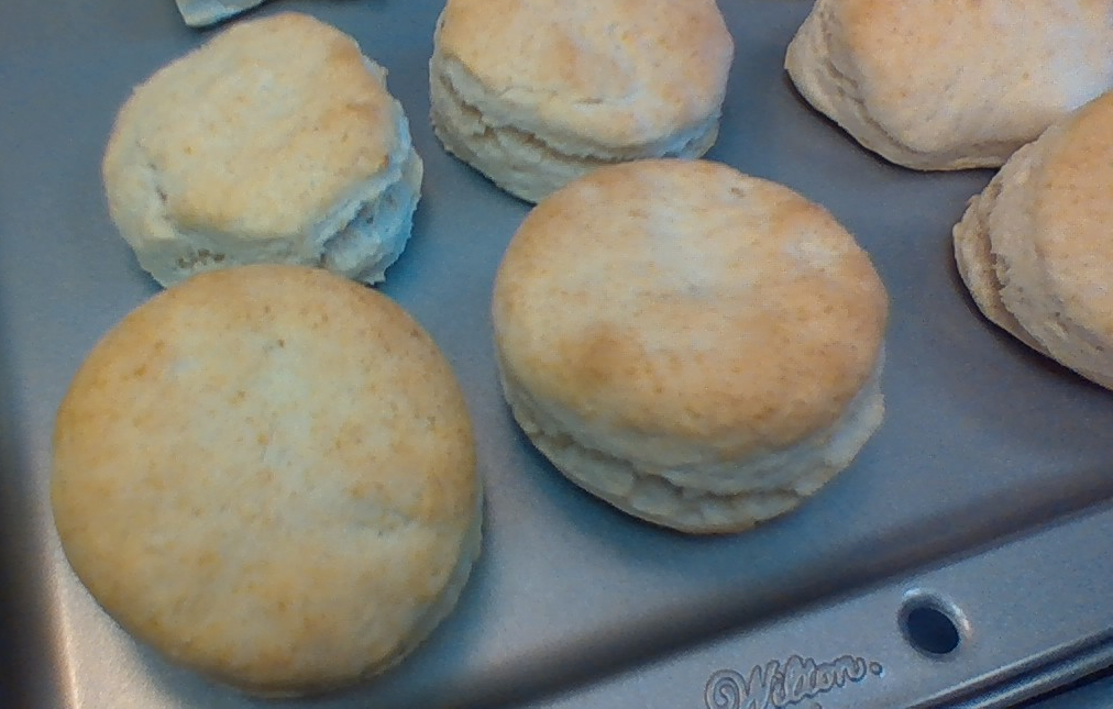 HFaulknerLHS's tweet photo. The students' first attempt at biscuits was a success!  I'm proud of their work! https://t.co/ZIAgxV9kcQ