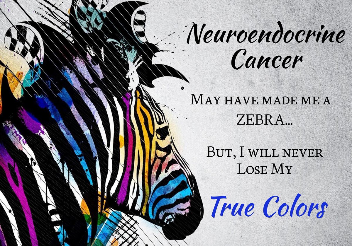 THawkinsWife's tweet photo. Nov 10th 
#NETCancerAwarenessDay 
#NeuroendocrineCancer  

#ZebraStrong 🦓🖤💪🏽 https://t.co/Z3YoQA4ncf